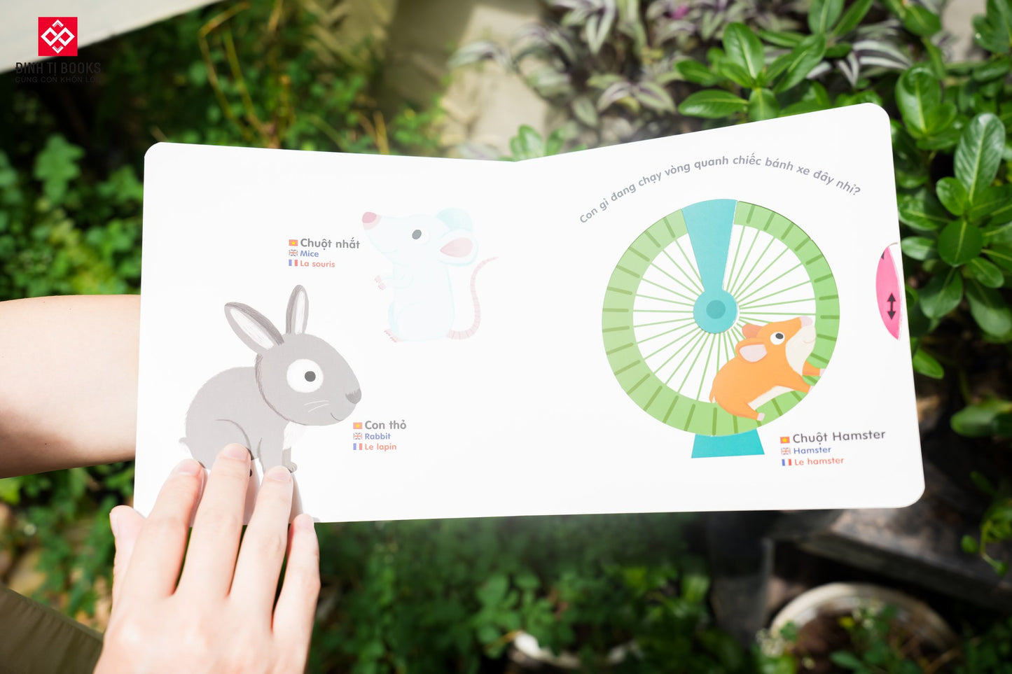 Sách tương tác chuyển động đa ngôn ngữ |Interactive Lift-the-Flap Moving Books (Vietnamese-English-French) | Kididoc Series 0-6