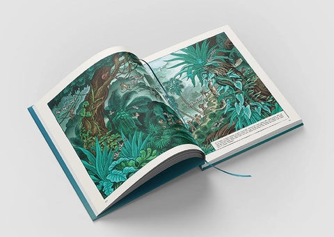 Yersin Khúc Hát cá ông| Câu chuyện về cuộc đời bác sĩ Alexandre Yersin| Yersin – The Song of Cá Ông A Graphic Novel Inspired by the Life of Dr. Alexandre Yersin