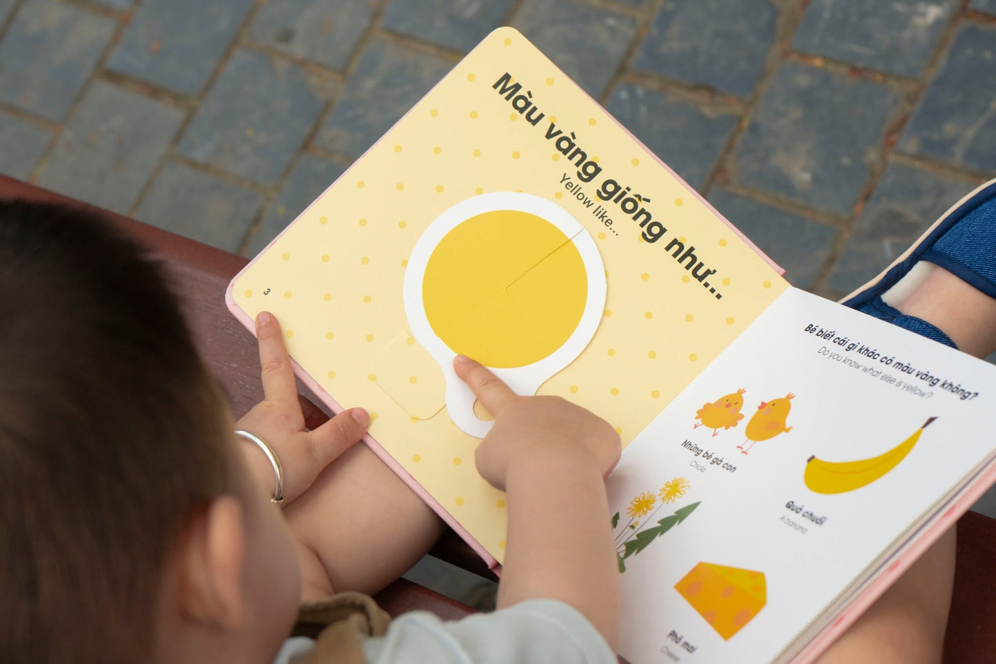 Vòng Xoay Khám Phá – Interactive Vietnamese-English Books for Babies 0–3