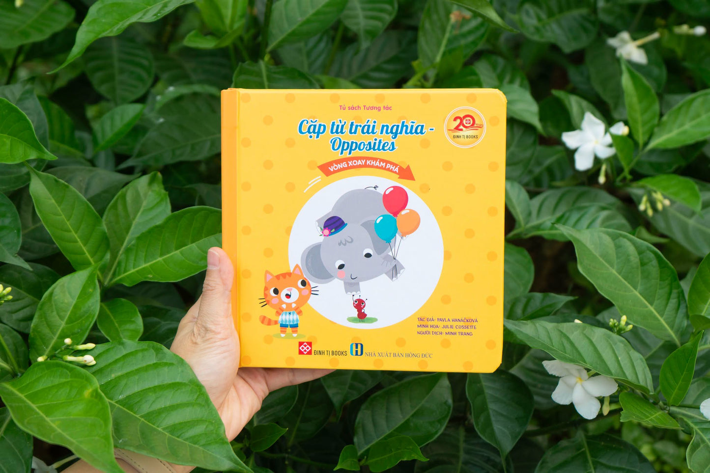 Vòng Xoay Khám Phá – Interactive Vietnamese-English Books for Babies 0–3