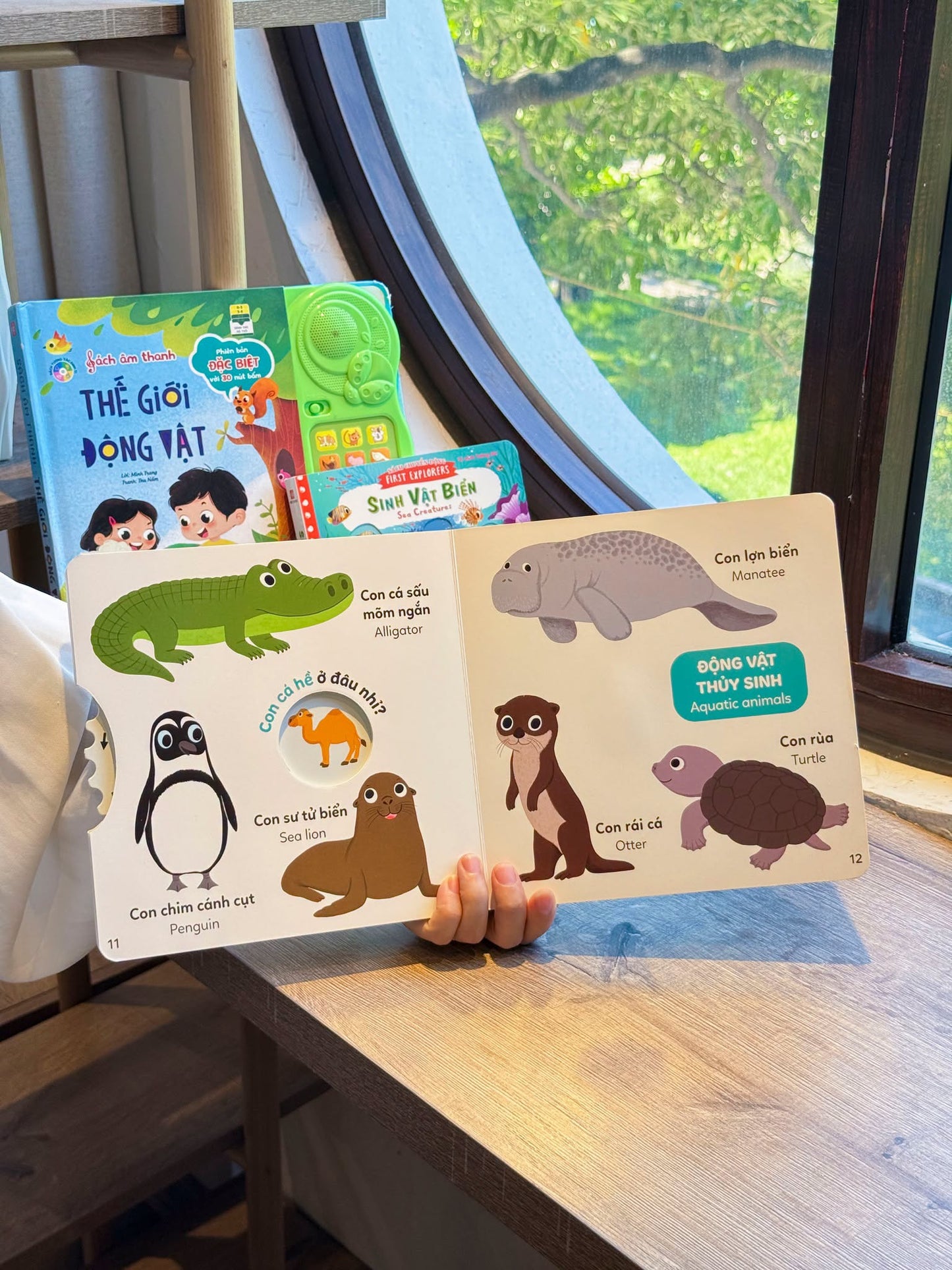 Vòng Xoay Khám Phá – Interactive Vietnamese-English Books for Babies 0–3