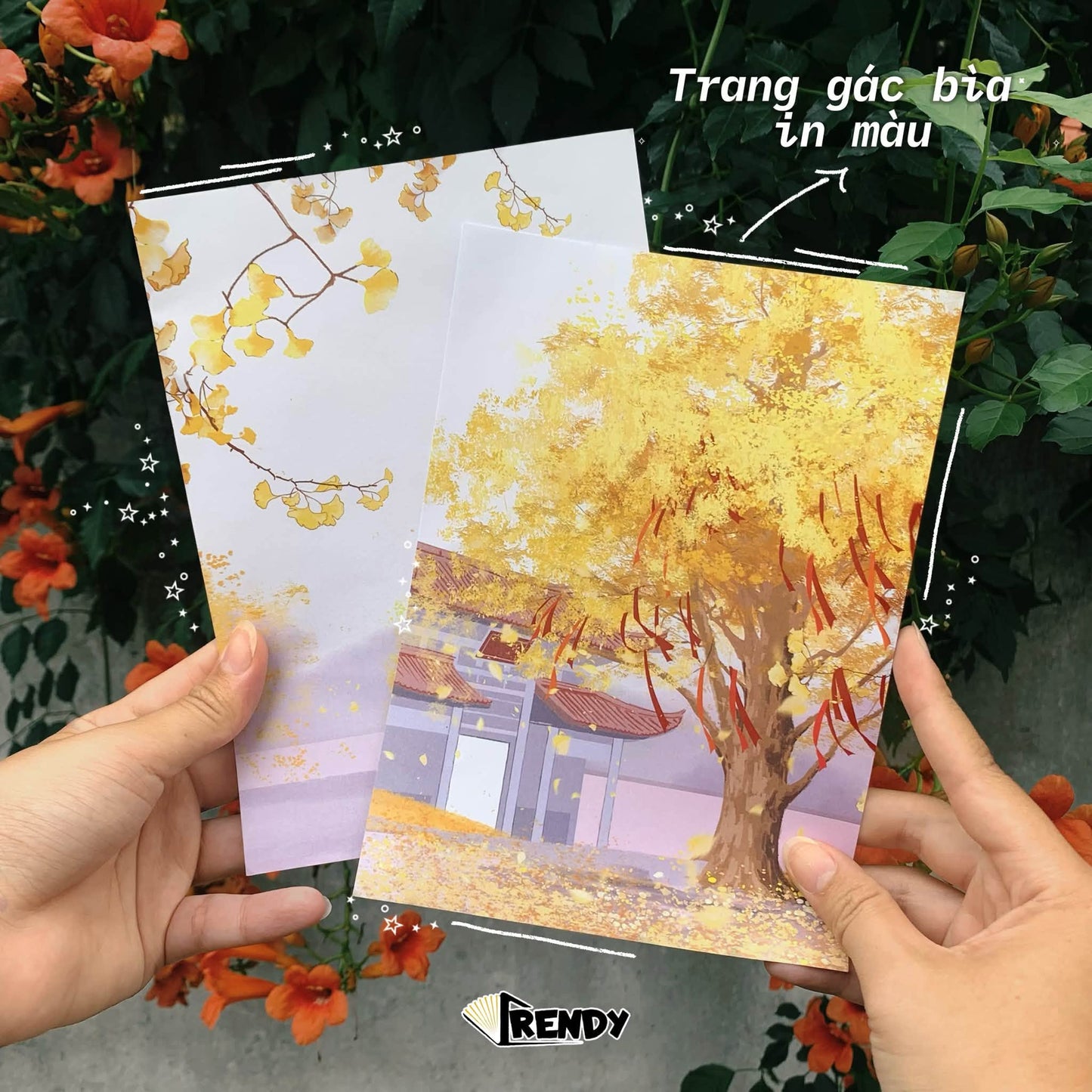 Nghe Lời - Tập 2 - Bản Đặc Biệt