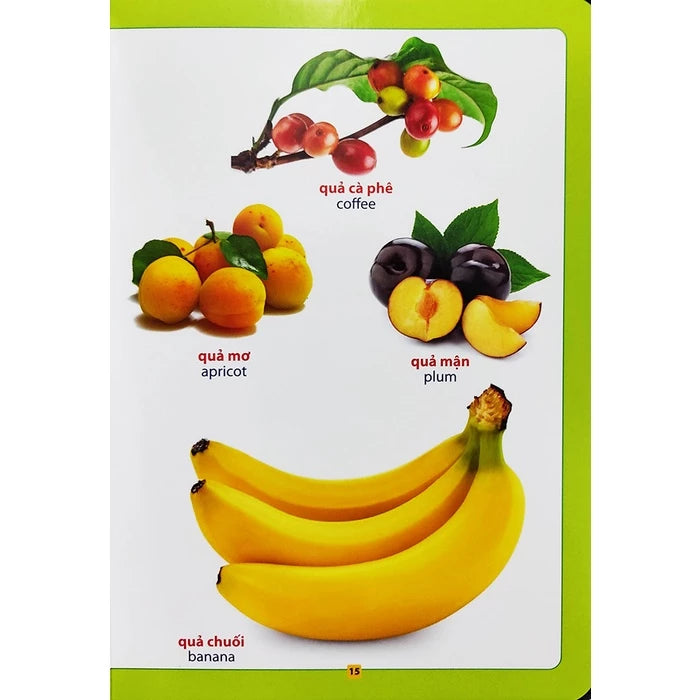 Từ điển bằng hình - Hoa, quả, rau củ Pictionary of Fruits and Vegetables in Vietnamese and English