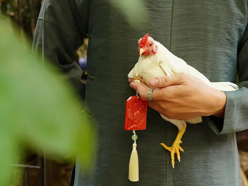 Hộ Giáp Thạch Bội – Lucky Zodiac Handmade Ceramic Pendants | Year of Fortune Gift | Vietnamese Artisan Good Luck Charm