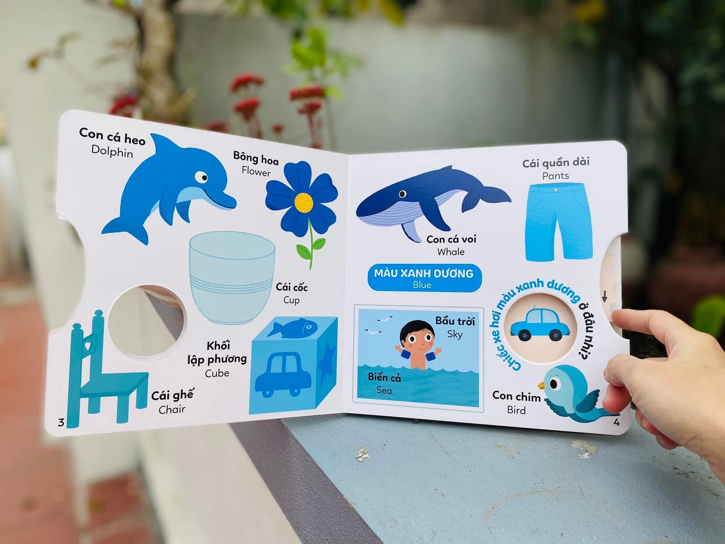Xoay xoay những cuốn sách tương tác! Interactive boardbook to learn Vietnamese first word| Bilingual Vietnamese boardbook! Books for toddler
