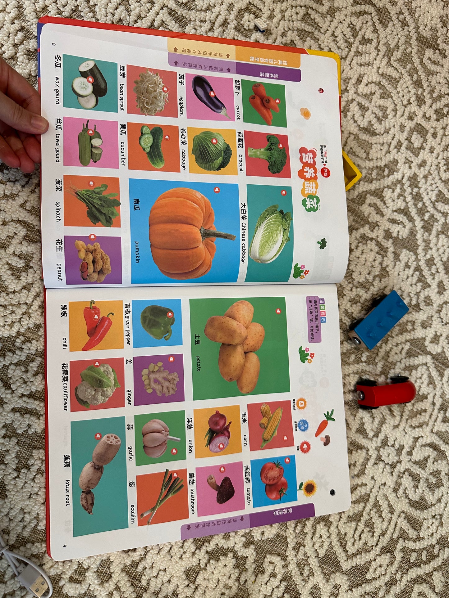 Chinese Bilingual Interactive Sound Book (0–6) — Songs, Stories, Words & Early Learning