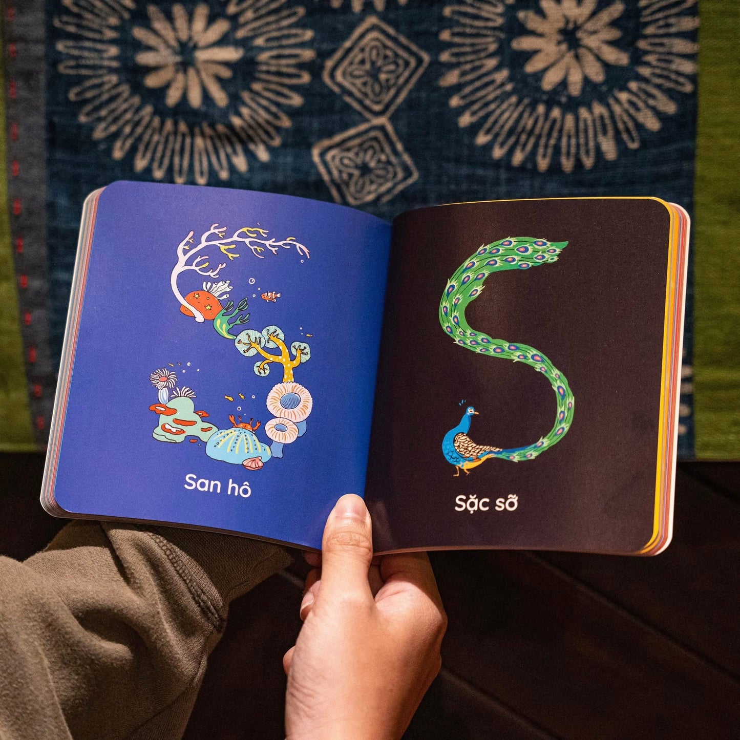 Chữ cái tiếng Việt diệu kỳ (A Vietnamese alphabet book)