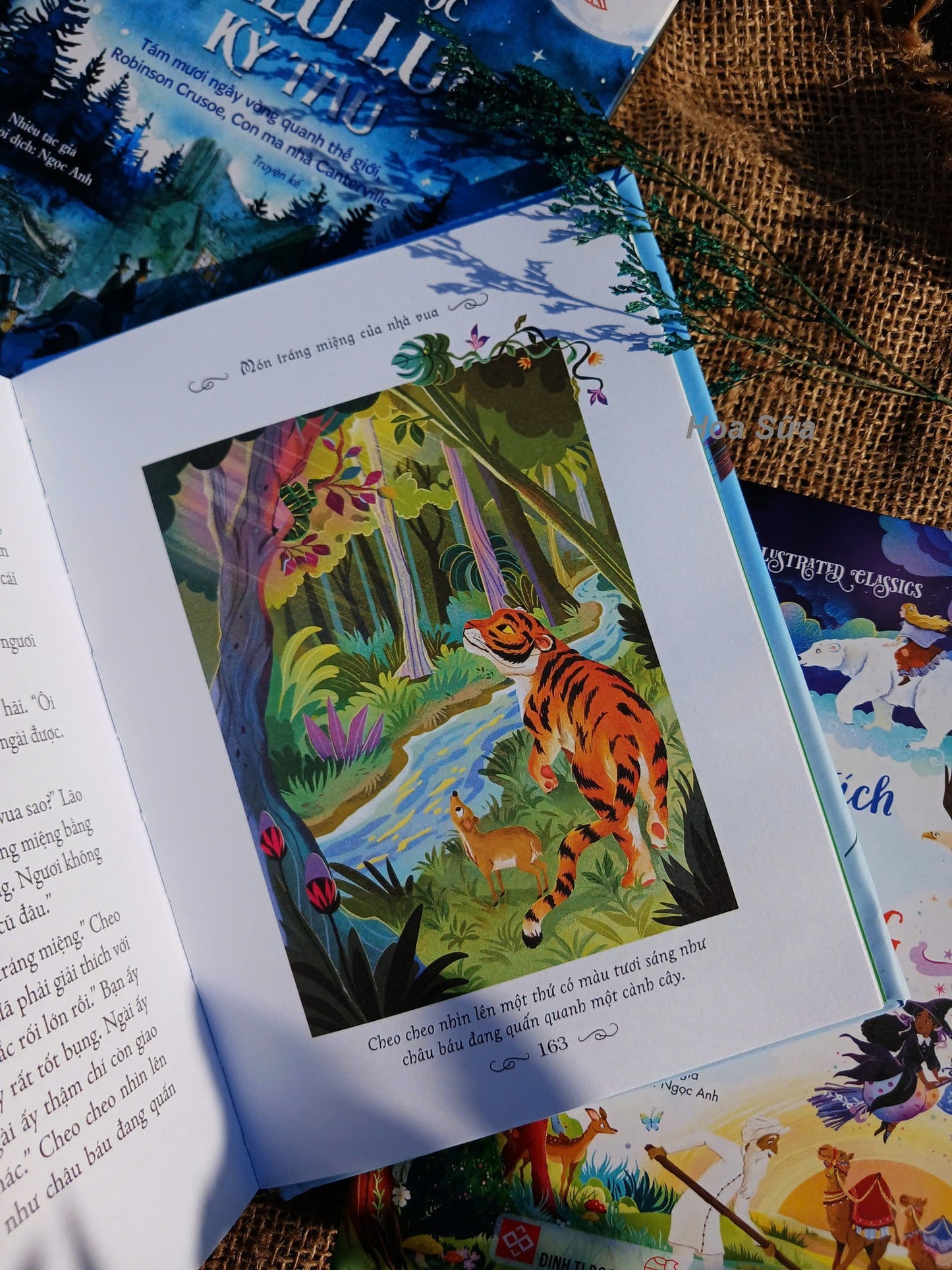 Illustrated classics in Vietnamese—Tuyển tập các tựa truyện kinh điển hay nhất được minh hoạ màu dành cho thiếu nhi