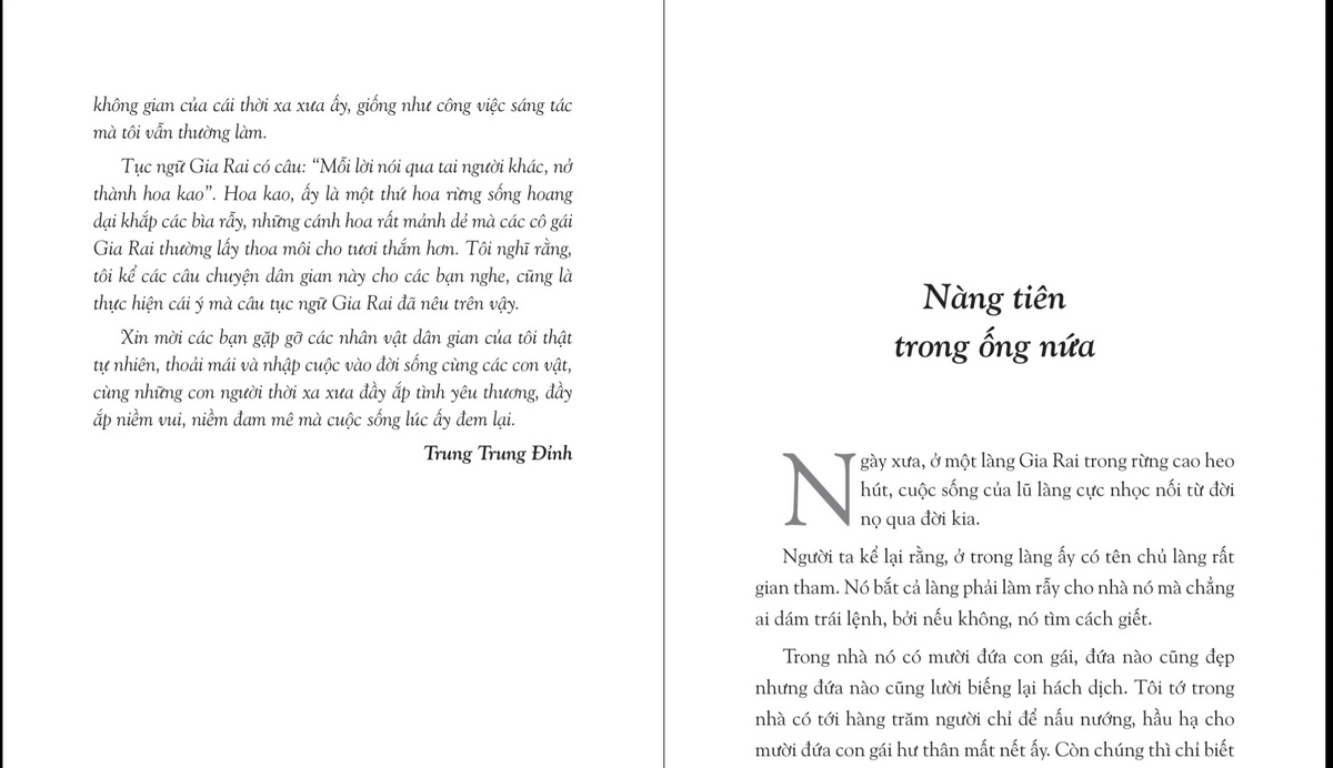 Nàng Tiên Trong Ống Nứa (Truyện Cổ Tích Gia Rai) - Trung Trung Đỉnh