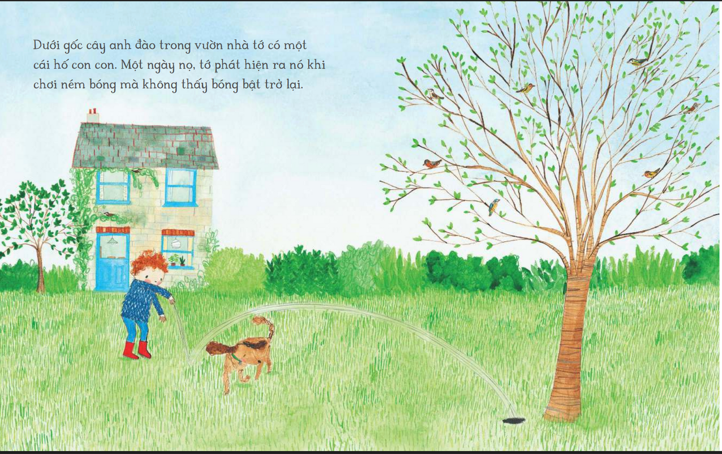 Combo Những câu chuyện lấp lánh (9 Cuốn)| Rebecca Cobb “Sparkling Stories” Vietnamese Book Set (9 Books)