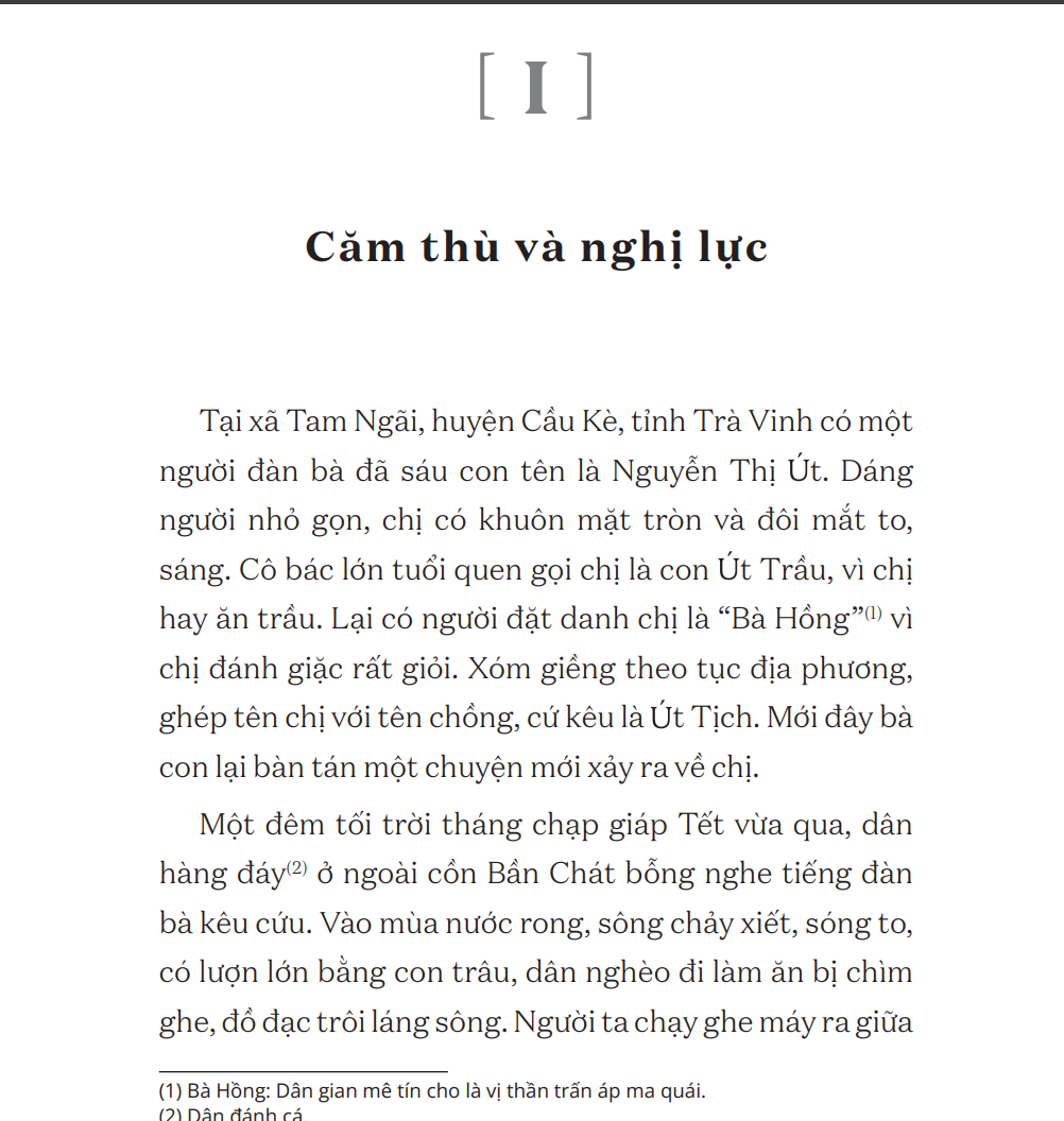 Người mẹ cầm súng (A chapter book about mother preorder)