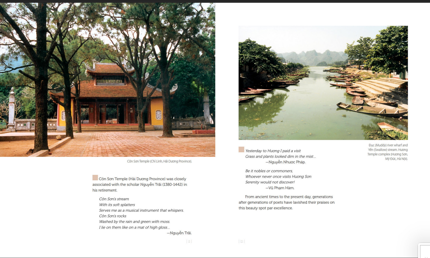 Vietnamese Art (Nghệ thuật Việt Nam) A must have book to learn about Vietnamese art