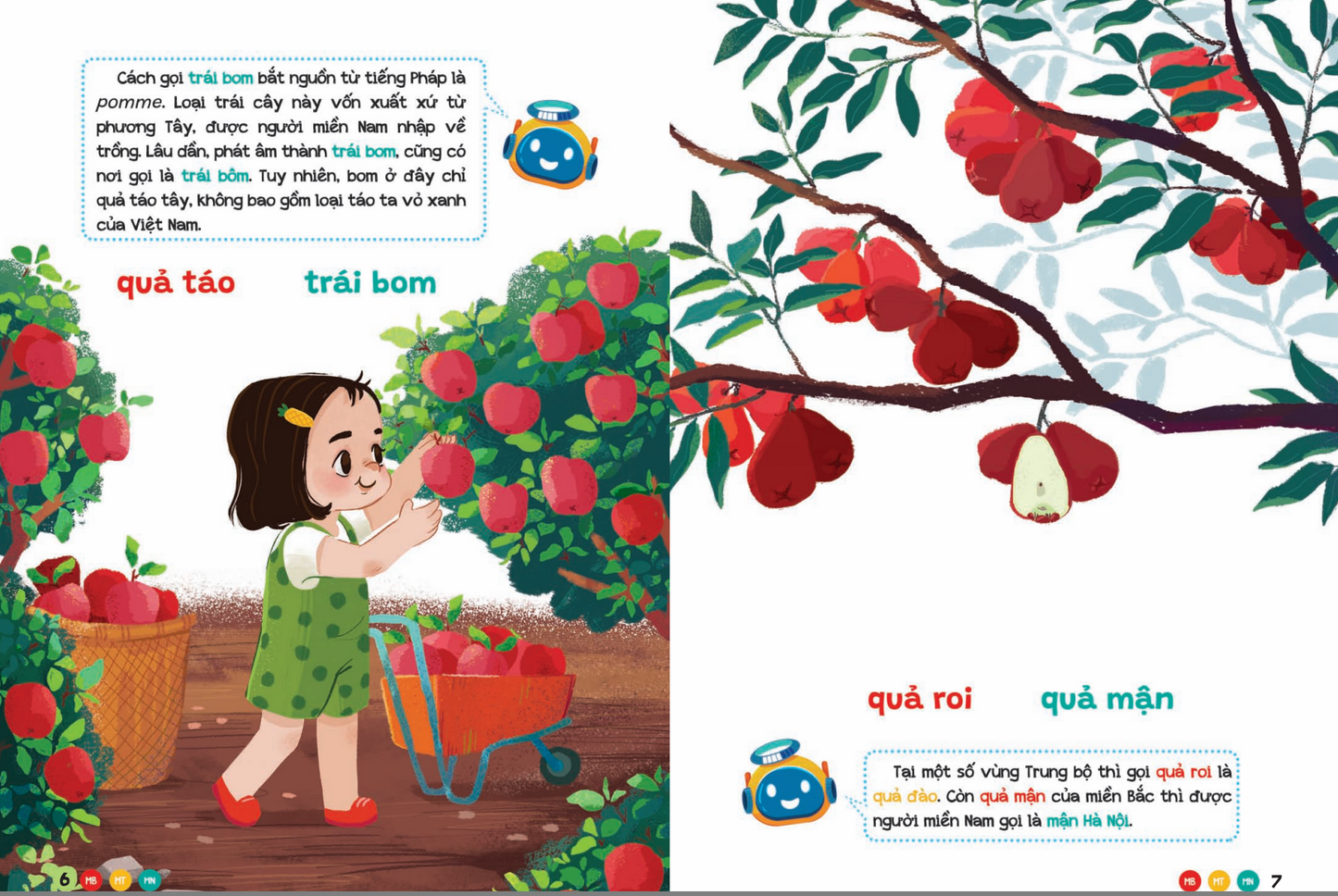 Combo Phương Ngữ Việt Nam 3 Cuốn Vietnamese Regional Dialects Set – 3 Books for Children