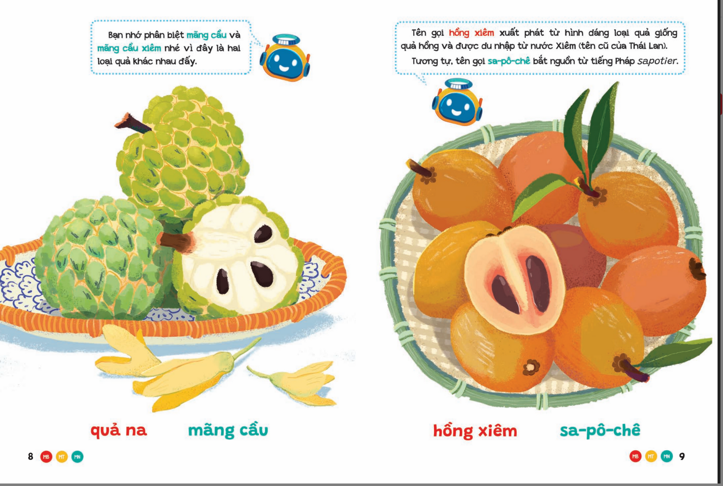 Combo Phương Ngữ Việt Nam 3 Cuốn Vietnamese Regional Dialects Set – 3 Books for Children