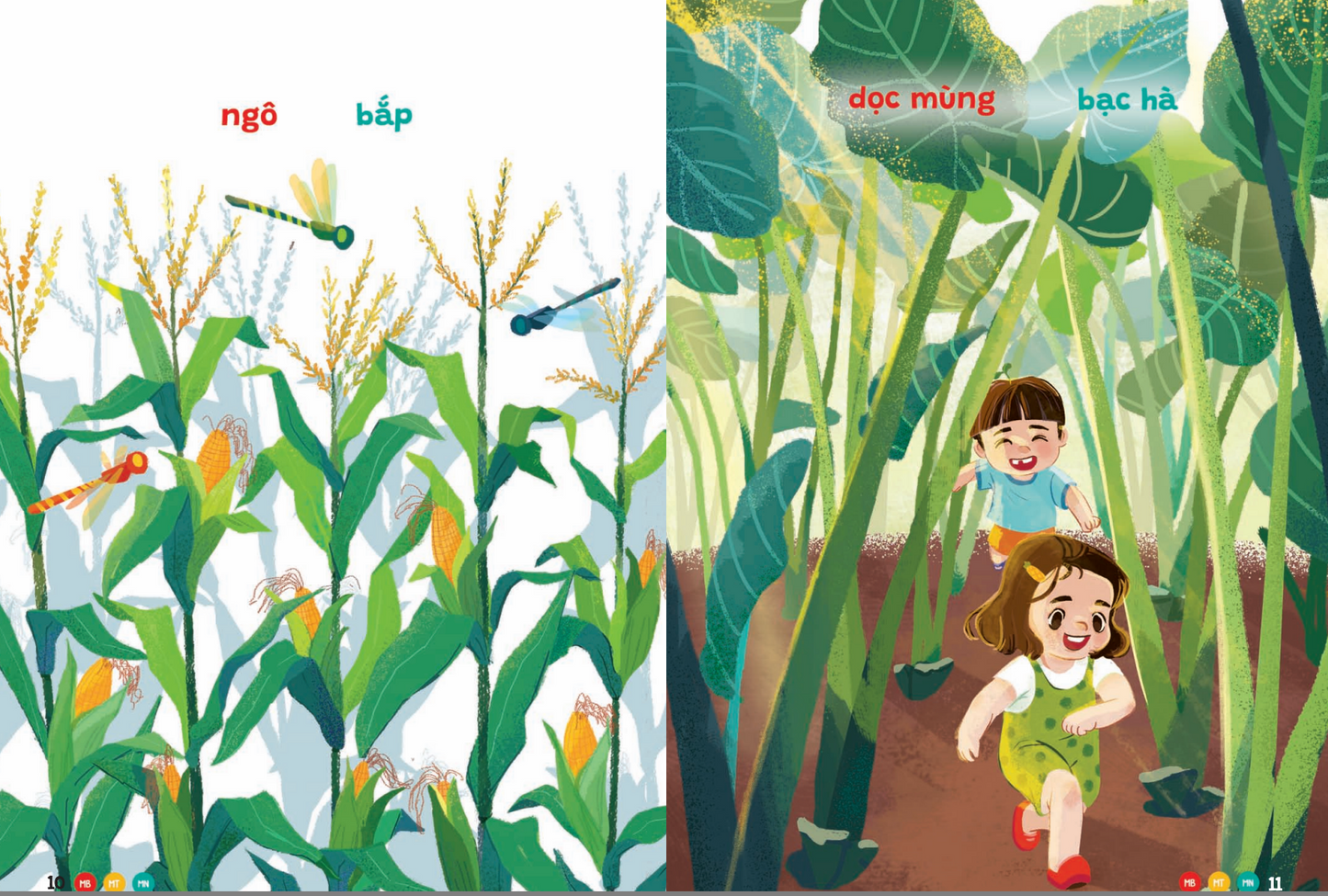 Combo Phương Ngữ Việt Nam 3 Cuốn Vietnamese Regional Dialects Set – 3 Books for Children