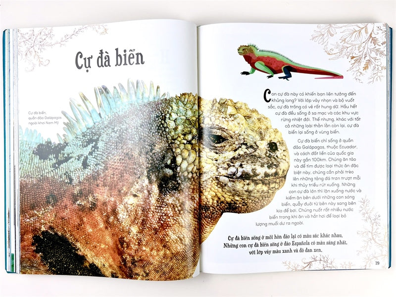 Bách Khoa Thư Kỳ Thú về Động Vật (Encyclopedia of Animals in Vietnamese)