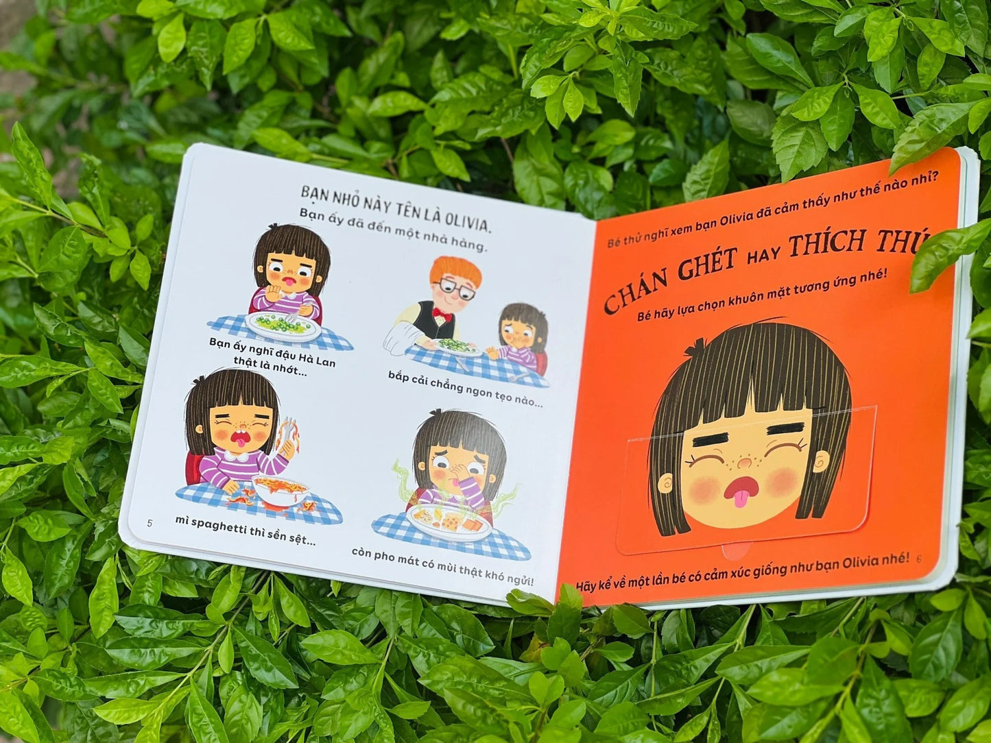 Combo 5 cuốn sách tương tác bìa cứng Lift-the-Flap—5 Interactive Vietnamese boardbooks for kids