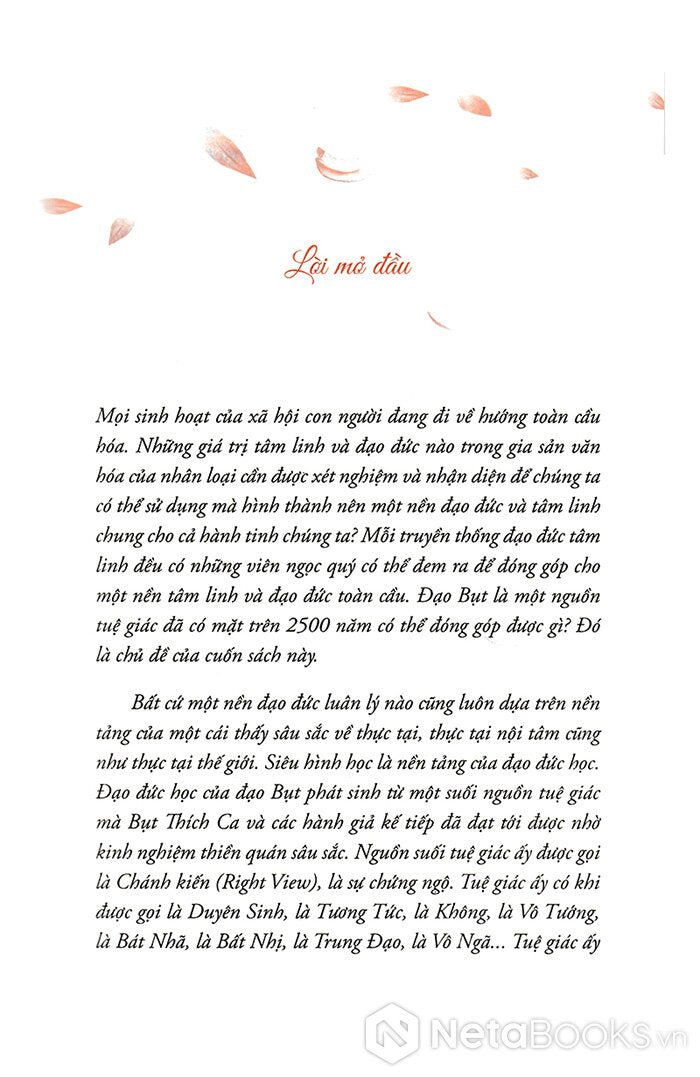 Hướng đi của đạo bụt cho hòa bình và sinh môi (The World we have) Thích Nhất Hạnh