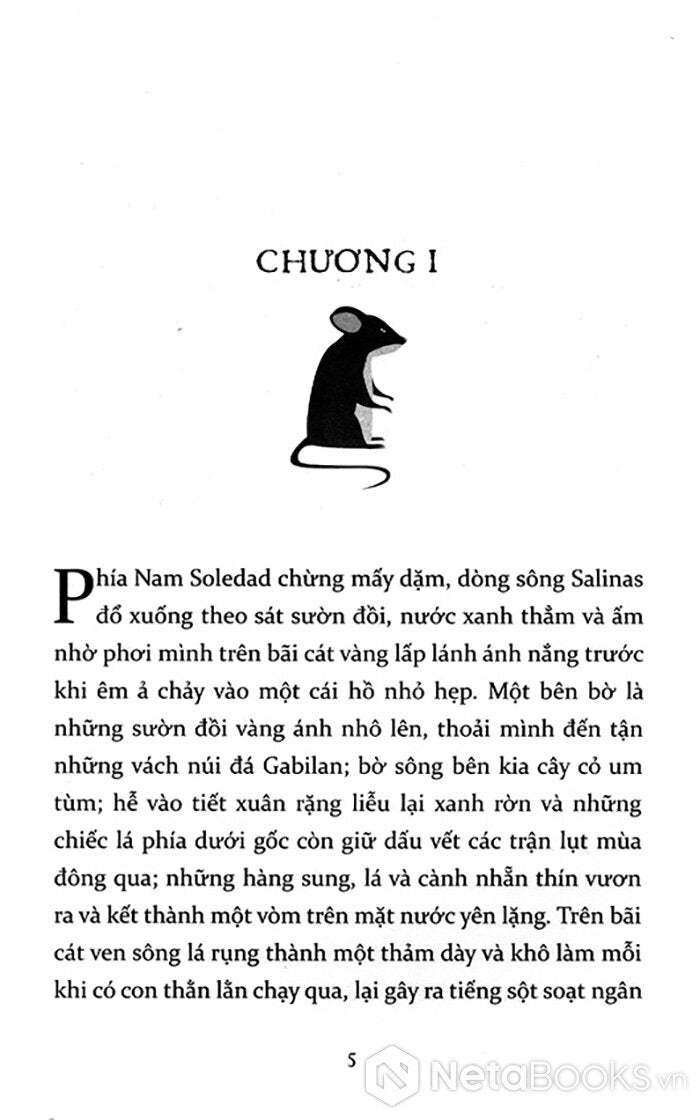 Của Chuột Và Người - Of Men and Mice Vietnamese version John Steinbeck - Bìa Cứng
