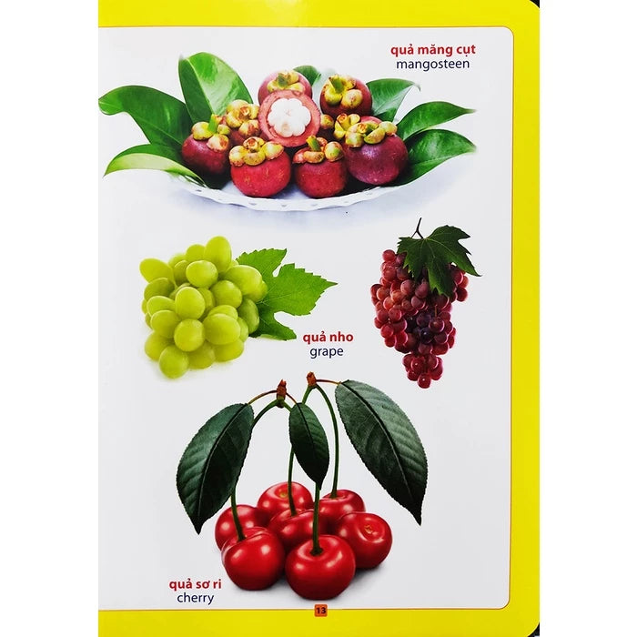 Từ điển bằng hình - Hoa, quả, rau củ Pictionary of Fruits and Vegetables in Vietnamese and English