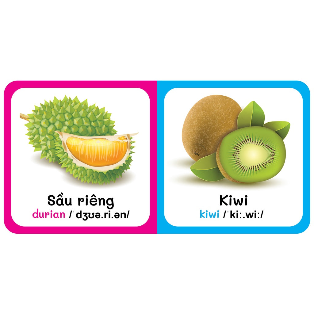 Combo Baby's First Picture Dictionary bilingual Vietnamese English- Từ Điển Bằng Hình Đầu Tiên Của Bé (Song ngữ Anh-Việt) (Bộ 9 cuốn)