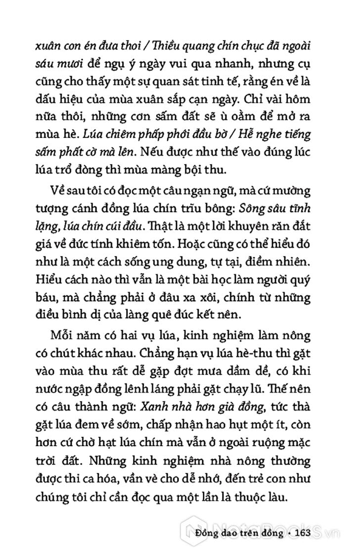 Ngũ sắc vạn hoa (Tuỳ bút Hoàng Công Danh)