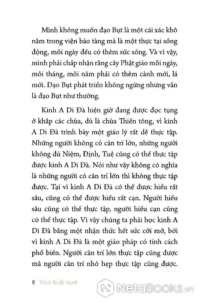 Thiết lập tịnh độ : Kinh A di đà thiền giải (Thích Nhất Hạnh)