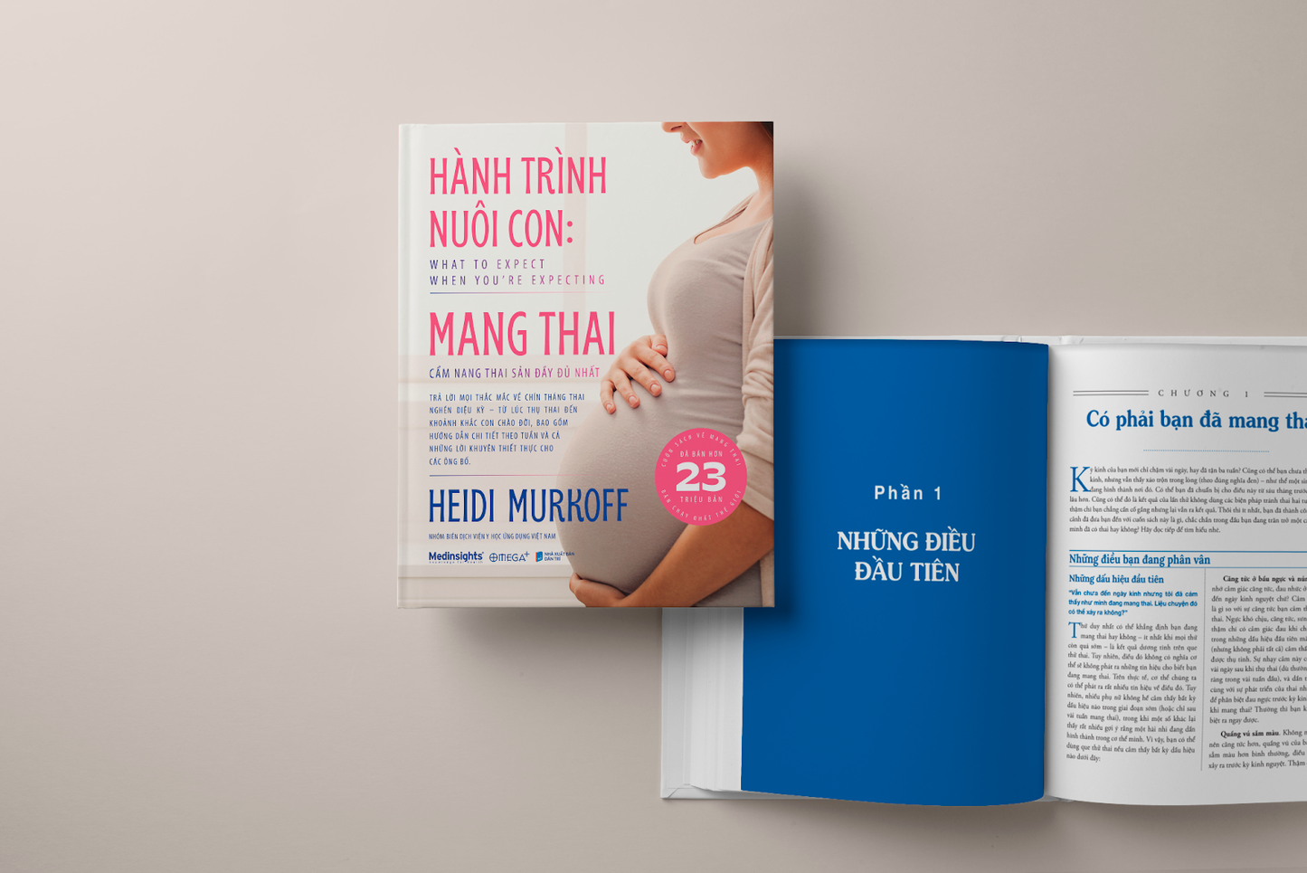 Hành Trình Nuôi Con: Mang Thai (What to expect when you are expecting)