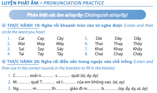 Vietnamese with ease 2| Vietnamese language textbook for intermediate