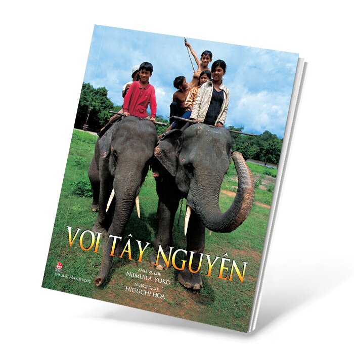 Voi Tây Nguyên Information Texts about Elephants in Central Highland Vietnam